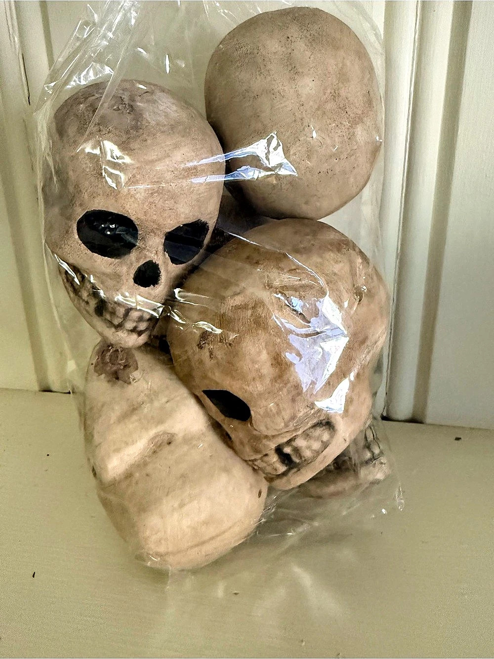 New Pottery Barn Decorative Skulls Set of Six